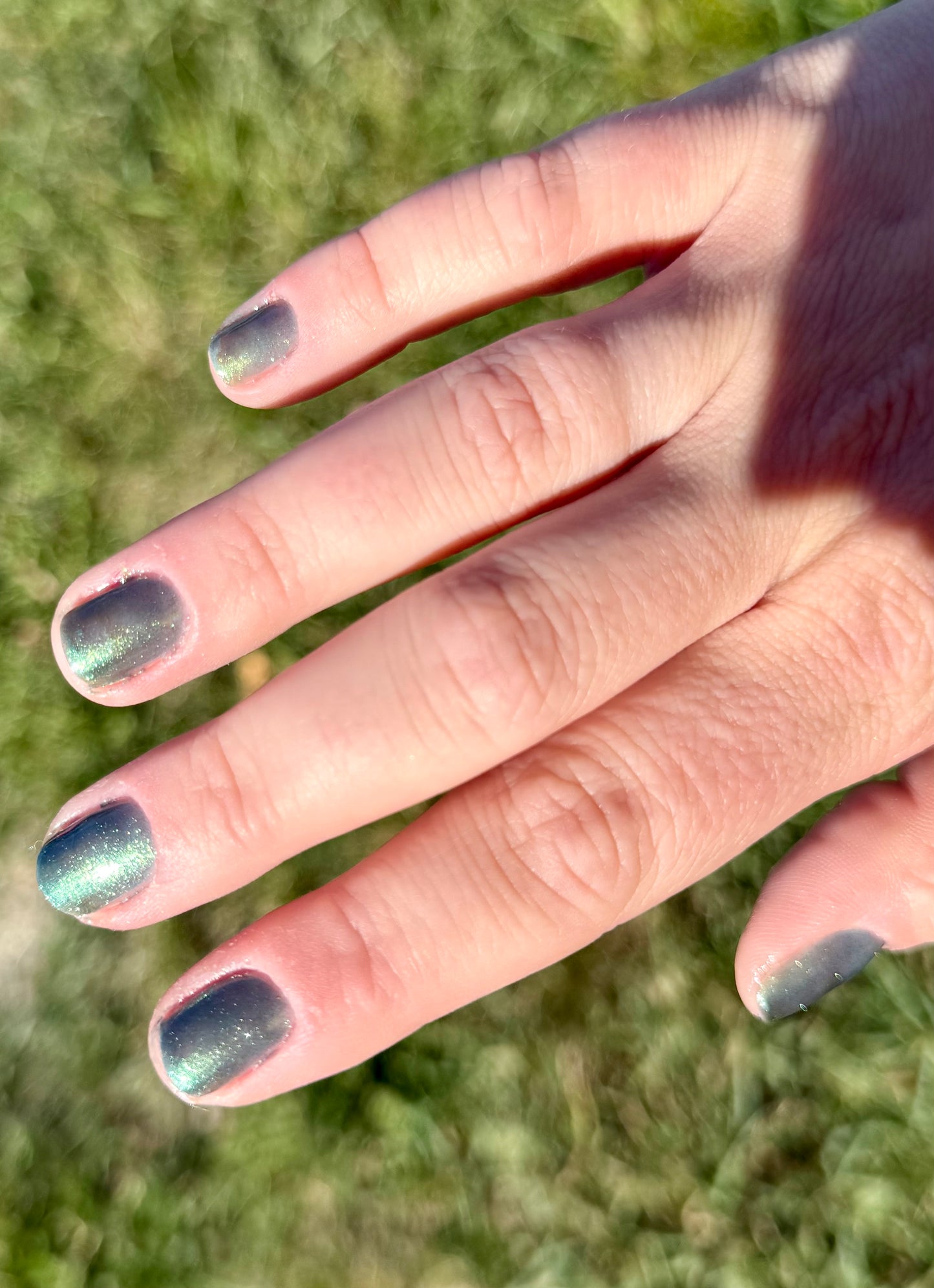 Eidergeist
