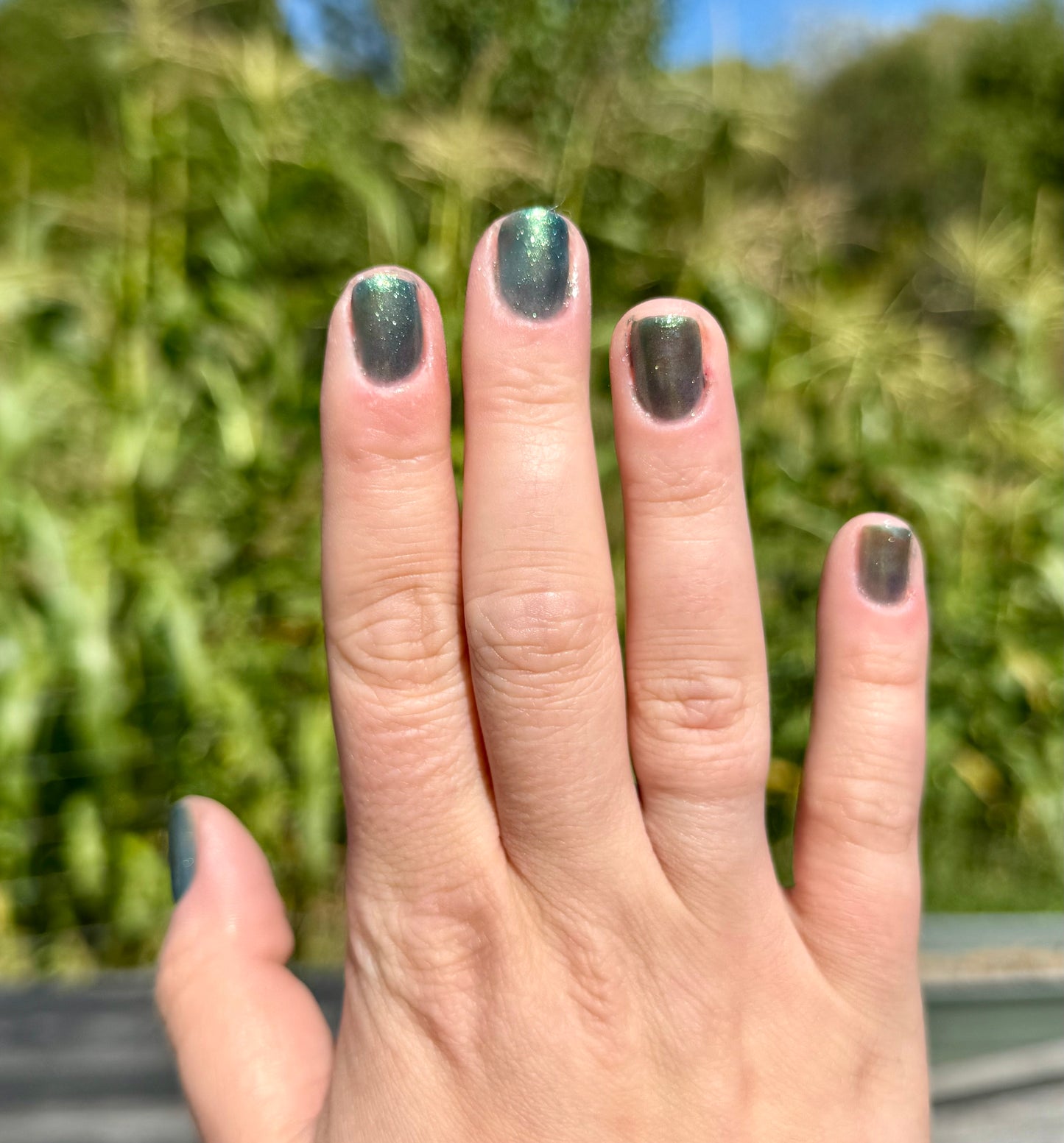 Eidergeist